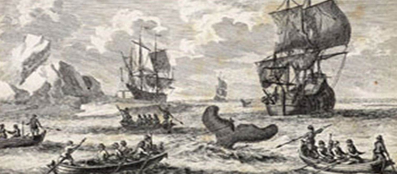 Hull whaling industry Greenland fisheries